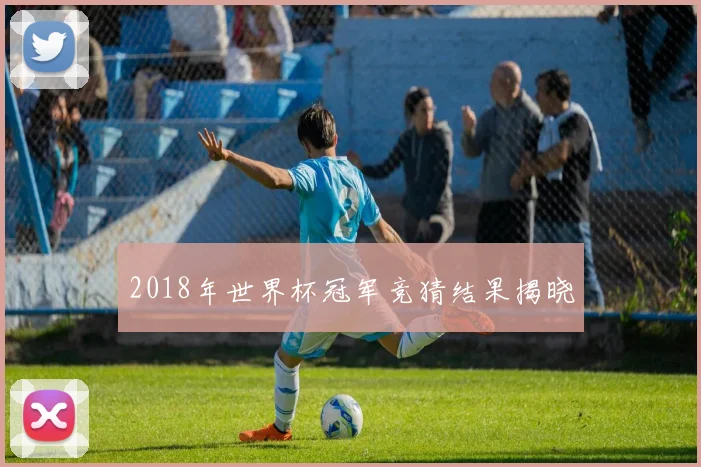 2018年世界杯冠军竞猜结果揭晓