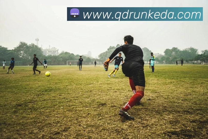 多媒体互动体验